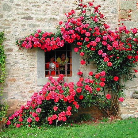Agriturismo "Ai Frati" Pieve Fosciana Exterior foto
