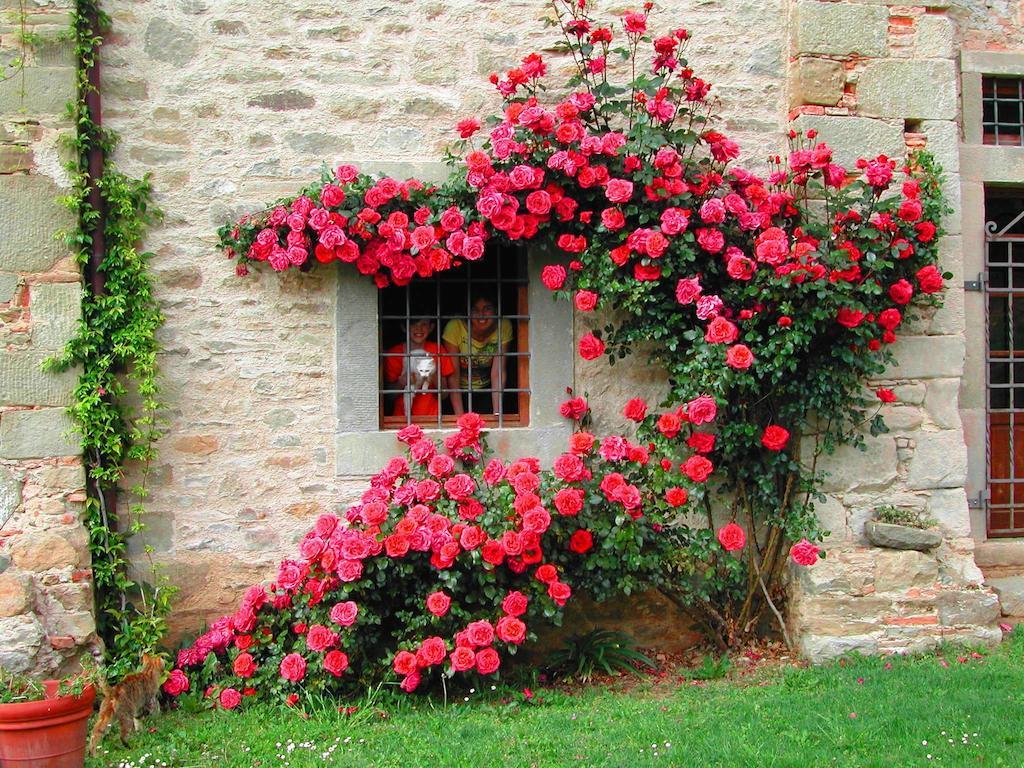 Agriturismo "Ai Frati" Pieve Fosciana Exterior foto